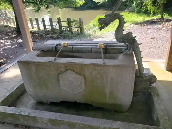 大嶋神社奥津嶋神社(滋賀県)
