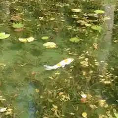 根道神社(岐阜県)