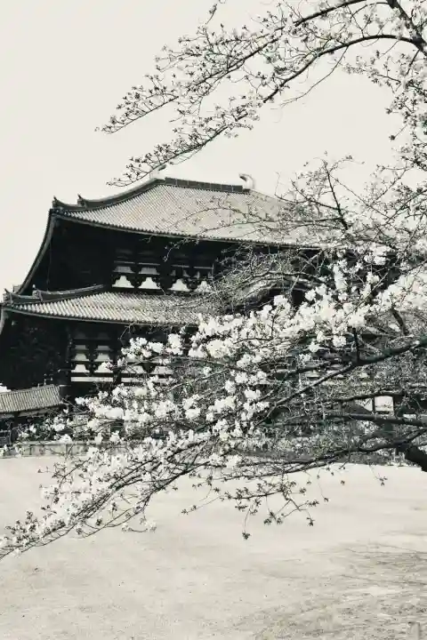 東大寺の{uncategorized: "未分類", other: "その他", undefined: "問題あり", building: "その他建物", grave: "お墓", sacred_gate: "鳥居", guardian: "狛犬", statue: "像", buddha: "仏像", history: "歴史", nature: "自然", garden: "庭園", animal: "動物", pagoda: "塔", temizu: "手水舎", mountain_gate: "山門・神門", sanctuary: "本殿・本堂", subordinate: "末社・摂社", art: "芸術", scenery: "景色", jizo: "地蔵", ema: "絵馬", goshuin: "御朱印", omikuji: "おみくじ", items: "授与品その他", amulet: "お守り", goshuincho: "御朱印帳", eats: "食事", festival: "お祭り", votive_dance: "神楽", shichigosan: "七五三参", wedding: "結婚式", experience: "体験その他", initially: "初詣", around: "周辺", anti_infection: "感染症対策"}