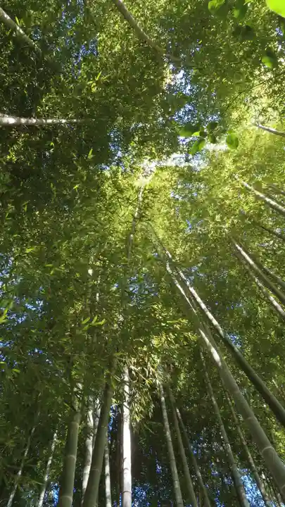 明月院(神奈川県)