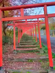 丸高稲荷神社(和歌山県)