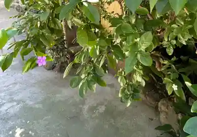 銀杏岡八幡神社(東京都)