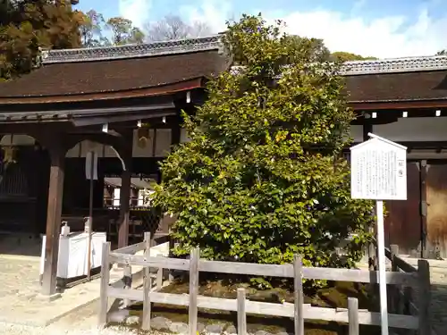 賀茂御祖神社（下鴨神社）(京都府)