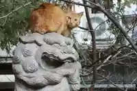 くまくま神社(導きの社 熊野町熊野神社)の動物
