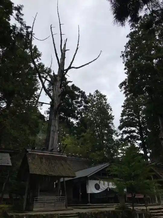 元伊勢内宮 皇大神社(京都府)