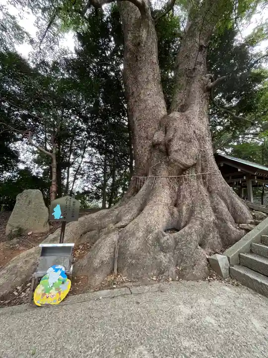 五所八幡宮(福岡県)
