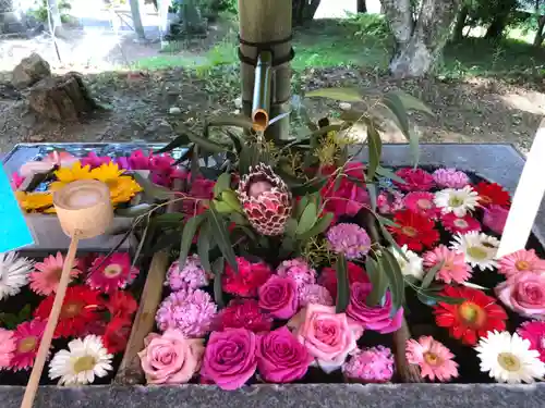 坂本八幡神社の手水