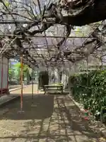 稲荷神社(千葉県)