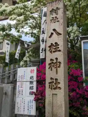 八柱神社（荒尾）の{uncategorized: "未分類", other: "その他", undefined: "問題あり", building: "その他建物", grave: "お墓", sacred_gate: "鳥居", guardian: "狛犬", statue: "像", buddha: "仏像", history: "歴史", nature: "自然", garden: "庭園", animal: "動物", pagoda: "塔", temizu: "手水舎", mountain_gate: "山門・神門", sanctuary: "本殿・本堂", subordinate: "末社・摂社", art: "芸術", scenery: "景色", jizo: "地蔵", ema: "絵馬", goshuin: "御朱印", omikuji: "おみくじ", items: "授与品その他", amulet: "お守り", goshuincho: "御朱印帳", eats: "食事", festival: "お祭り", votive_dance: "神楽", shichigosan: "七五三参", wedding: "結婚式", experience: "体験その他", initially: "初詣", around: "周辺", anti_infection: "感染症対策"}