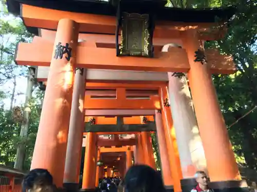 伏見稲荷大社(京都府)