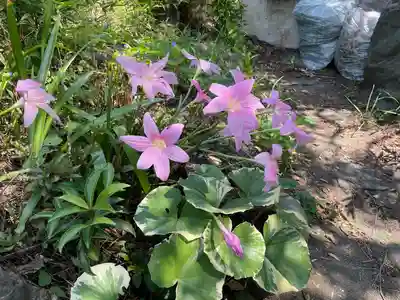 善性寺(神奈川県)