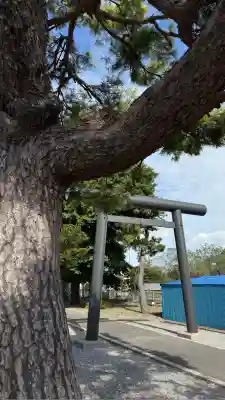 上磯八幡宮(北海道)