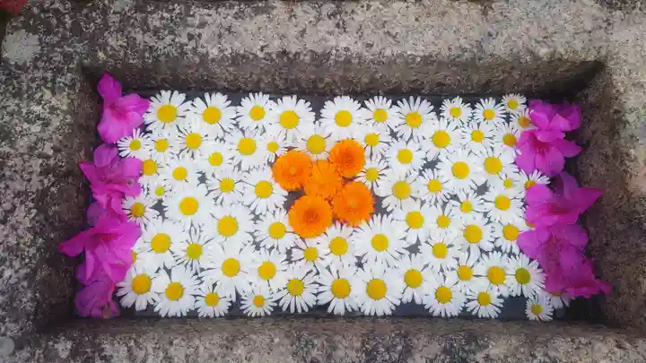 菩提寺の手水舎