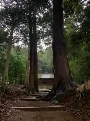 五社大神(千葉県)