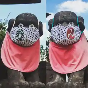 元郷氷川神社の狛犬(2020年08月28日(金) 15時27分29秒投稿)