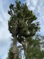 野里神社のその他建物
