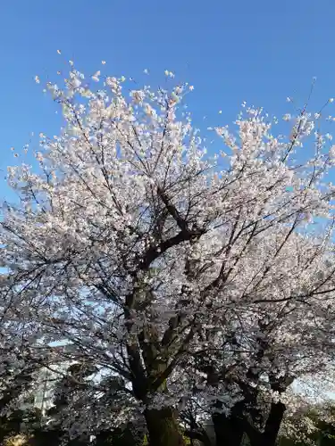 伏木香取神社の自然
