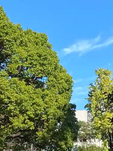 稲毛神社の景色