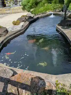 梅龍寺(岐阜県)