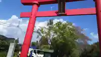 白笹稲荷神社の鳥居