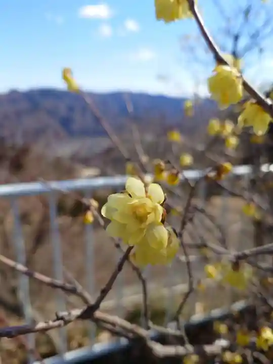宝登山神社奥宮(埼玉県)