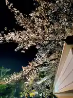 如宝寺(福島県)