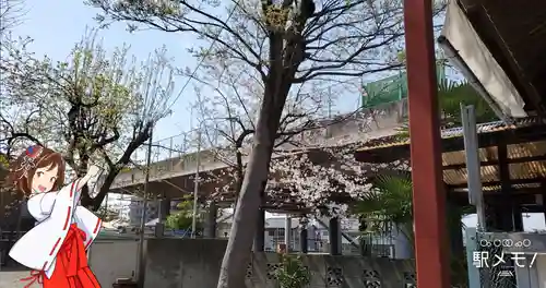 上小松天祖神社の自然