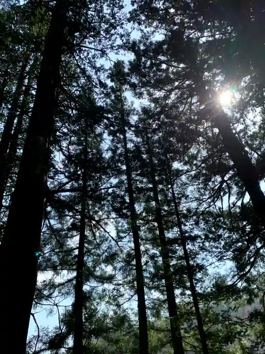 早池峰神社の自然