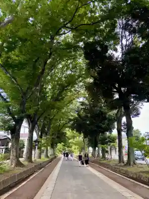 武蔵一宮氷川神社(埼玉県)
