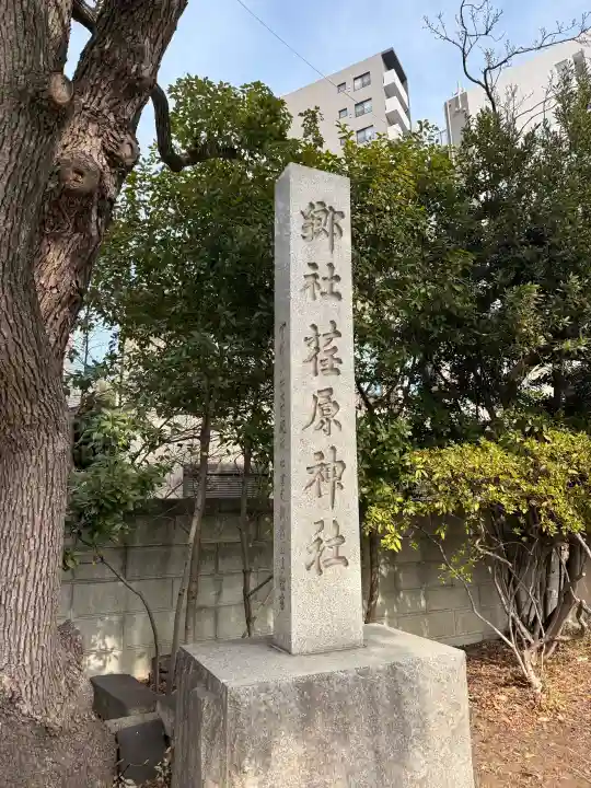 荏原神社の{uncategorized: "未分類", other: "その他", undefined: "問題あり", building: "その他建物", grave: "お墓", sacred_gate: "鳥居", guardian: "狛犬", statue: "像", buddha: "仏像", history: "歴史", nature: "自然", garden: "庭園", animal: "動物", pagoda: "塔", temizu: "手水舎", mountain_gate: "山門・神門", sanctuary: "本殿・本堂", subordinate: "末社・摂社", art: "芸術", scenery: "景色", jizo: "地蔵", ema: "絵馬", goshuin: "御朱印", omikuji: "おみくじ", items: "授与品その他", amulet: "お守り", goshuincho: "御朱印帳", eats: "食事", festival: "お祭り", votive_dance: "神楽", shichigosan: "七五三参", wedding: "結婚式", experience: "体験その他", initially: "初詣", around: "周辺", anti_infection: "感染症対策"}