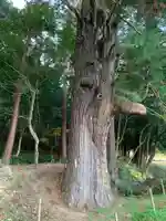 粟鹿神社の自然
