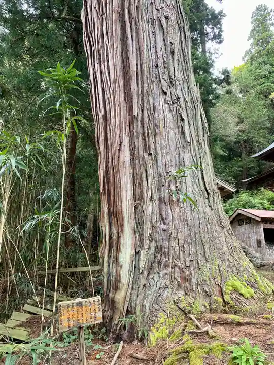 長谷寺(新潟県)