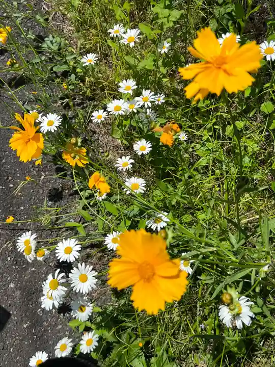 秩父御嶽神社(埼玉県)