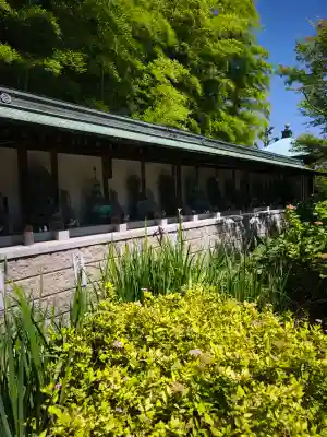 浄明院(愛媛県)