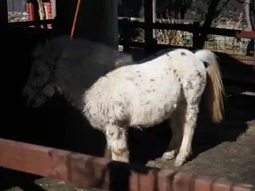 五方山熊野神社(東京都)