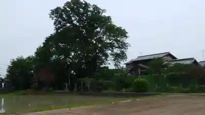 市助稲荷神社(埼玉県)
