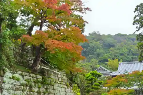 円覚寺(神奈川県)