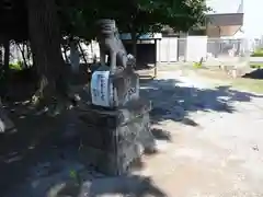 浅間大神の狛犬