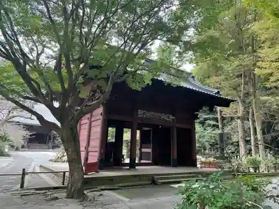 妙本寺(神奈川県)