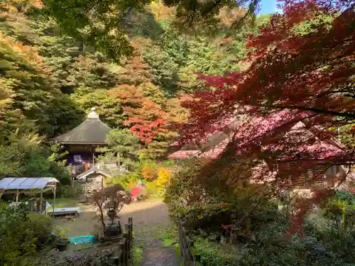 龍蔵寺(兵庫県)