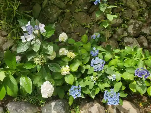 草薙神社の自然
