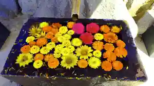 差出磯大嶽山神社 仕事と健康と厄よけの神さまの手水舎(2021年04月10日(土) 16時04分49秒投稿)