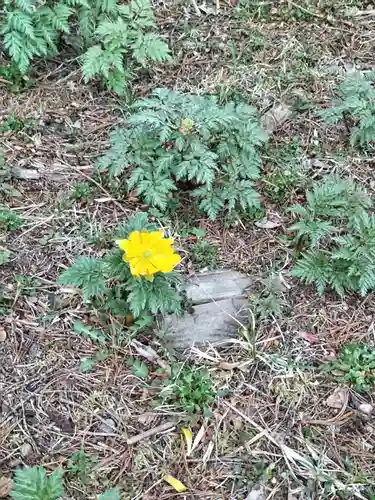 茂岩神社(北海道)