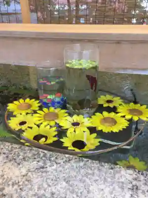 乃木神社の手水舎