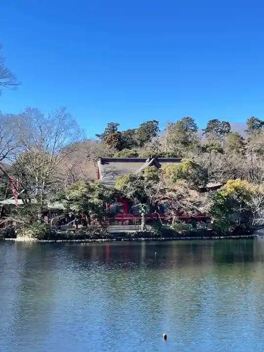 井の頭弁財天(大盛寺)(東京都)