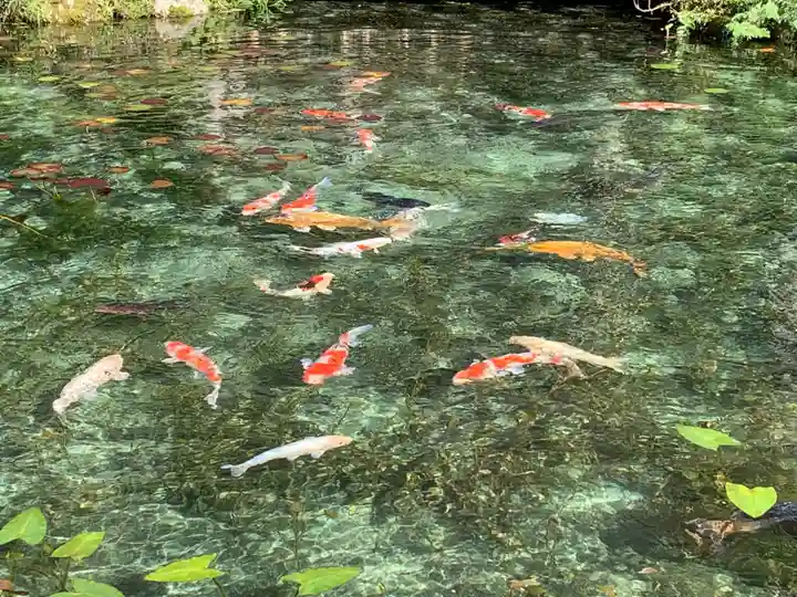 根道神社(岐阜県)
