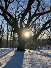 相馬神社(北海道)