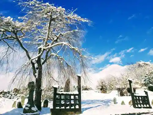 長徳寺の景色