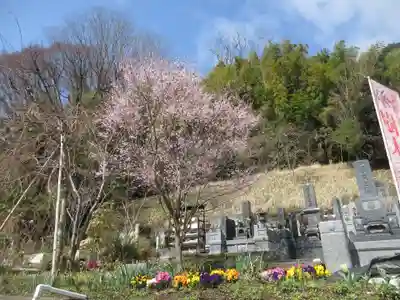 円通寺(神奈川県)