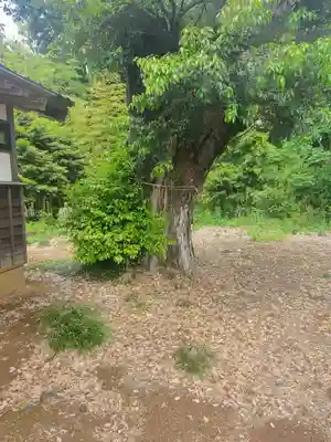 足高稲荷神社(茨城県)